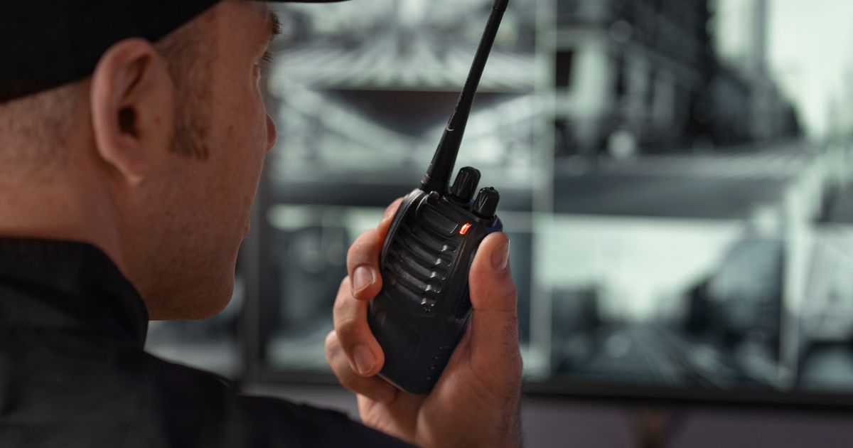 Professional Security Services in Georgia & Florida - DMK Security